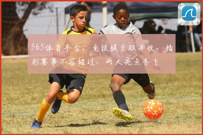 565体育平台，竞技娱乐双丰收，精彩赛事不容错过，两大亮点齐飞