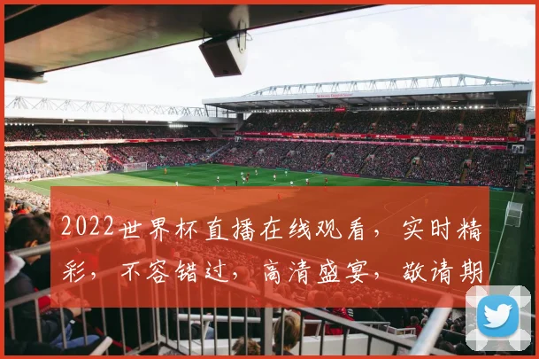 2022世界杯直播在线观看，实时精彩，不容错过，高清盛宴，敬请期待，