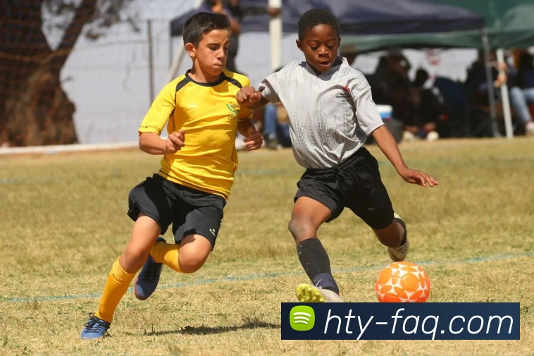 好体育服务体系